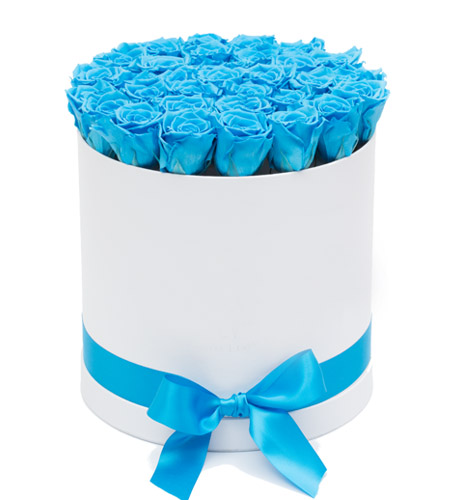 24 Blue Roses in A Box To Manila | Roses in Box To Philippines