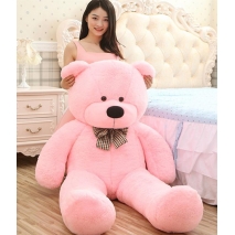 4 feet pink color teddy bear