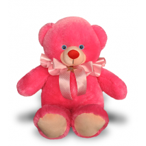 send pink color teddy bear to Philippines