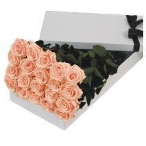 24 Pink Roses in Box Delivery to Manila Philippines