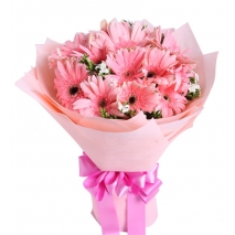 send pink gerbera flower to manila