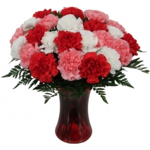 24 Pink Carnations in Vase Delivery Manila