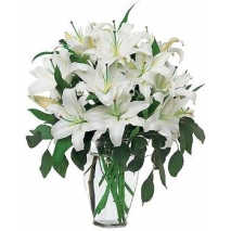 12 Stargazer Lilies in Vase Send to Manila Philippines