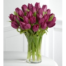 25 gorgeous purple tulips Delivery to Manila Philippines