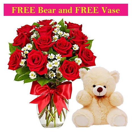 12 roses rith free bear