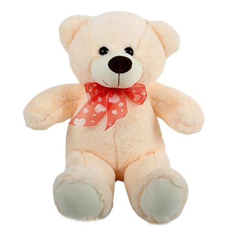 2 Feet Pink color teddy to philippines