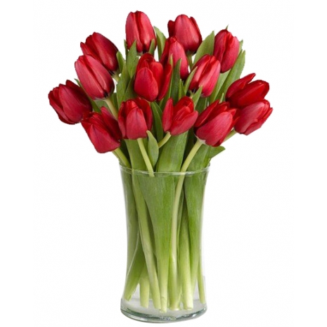 send tulips to Philippines