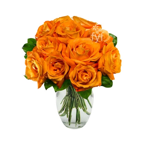 12 Orange Roses Delivery to Manila Philippines
