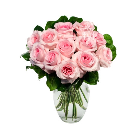 12  Pink Roses Delivery to Manila Philippines
