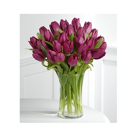 25 gorgeous purple tulips Delivery to Manila Philippines