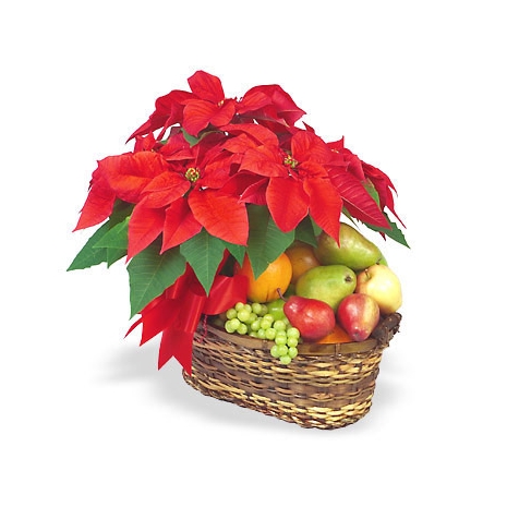 Poinsettia  & Fresh Flower Basket  Delivery to Manila Philippines