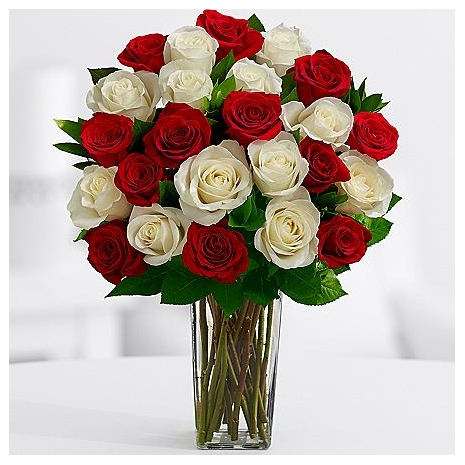Buy 12 Red Roses and get 12 White roses
